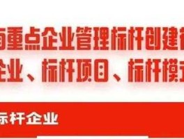 标杆企业？什么是标杆企业？