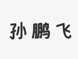 孙鹏飞？孙鹏飞的名字多少笔画？