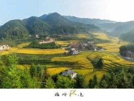 桂东吧 郴州秋天适合去玩的地方？