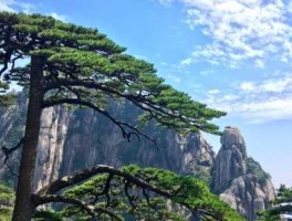 黄山 旅游（黄山旅游必备清单？）