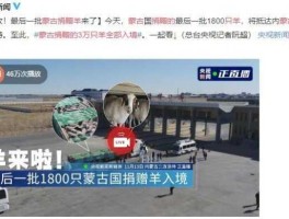 蒙古国捐赠的首批活羊22日入境 蒙古国赠送3万只羊怎么处理？
