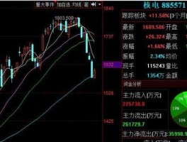 核电龙头股票（中核电力股票潜力如何？）