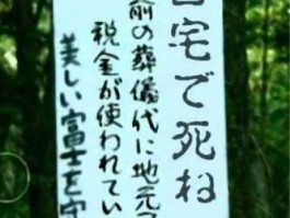 青木，梨乃青木是什么意思？