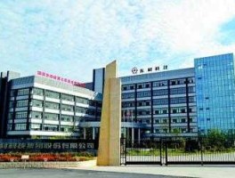 东材科技 四川东材科技集团是国有还是民企？