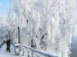 吉林大范围雾凇景观（吉林雾凇的介绍具体点？）
