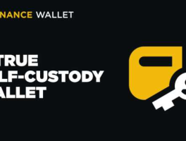 币安钱包将上线 Astra Nova（RVV）Pre-TGE 及 Booster 活动