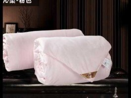 怡莲 太湖雪蚕丝被是十大品牌吗？