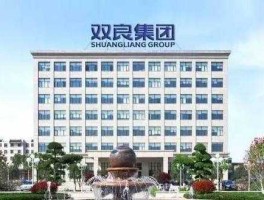双良股份（江苏双良集团公司咋样？）