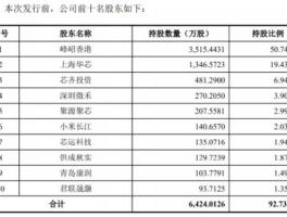 海通证券二期（中芯国际的股东有哪些？）