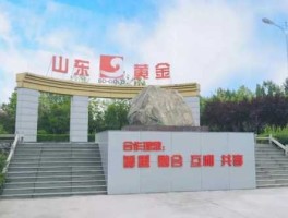 山东黄金矿业股份有限公司？谁知道山东黄金集团？介绍下？