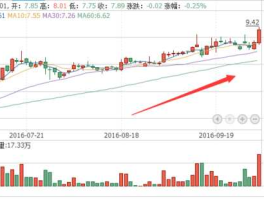 银鸽投资公告？银鸽投资股价最低时是多少钱一股？