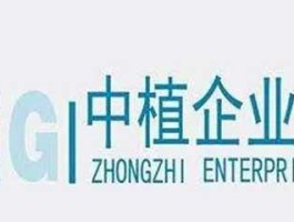 物产中拓，中植系是什么公司？