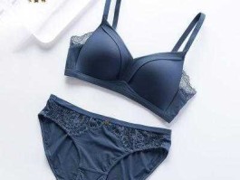 文胸品牌排行榜 十大内衣品牌排名？