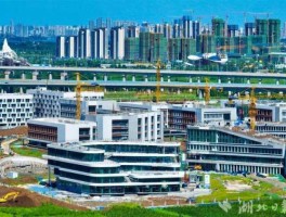 农业市场（新的华东农业大市场开建没？）