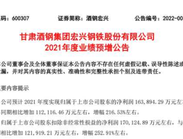 酒钢宏兴？600307酒钢宏兴怎么样？
