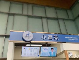 小鹿茶，小鹿茶叶怎么样？
