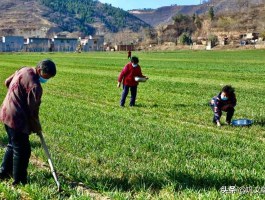 春耕时间（2023年春耕备耕时间？）