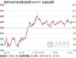 景顺精选基金净值？景顺沪港深基金000979怎么样？