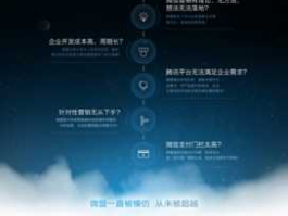 重庆索通出国企划有限公司？微盟平台如何？