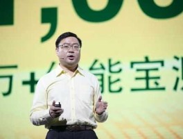 绿能宝 彭小峰现在出狱了吗？
