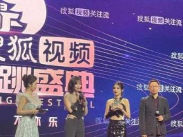 派娱科技 内娱是什么意思科普？