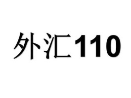 外汇110网？外汇110有权威吗？