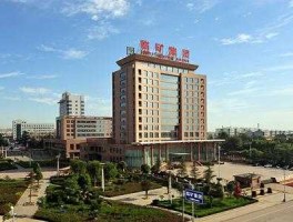 临沂矿业集团，临矿集团有几个煤矿？