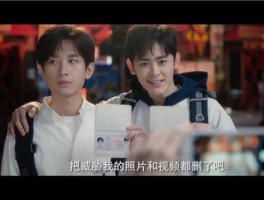 李欣泽 李欣泽成毅都演过哪些戏？