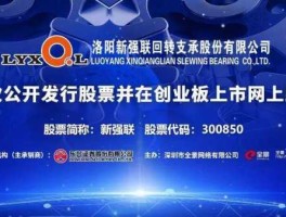 新强联是国企还是民企（新强联公司简介）