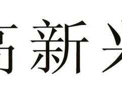高新兴（形容高新兴的成语？）