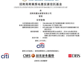 中科招商基金（众托帮是什么？）