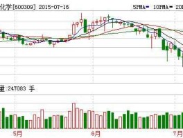 600309股票，化工龙头股票有哪些？