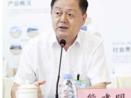 熊建明（方大集团股份有限公司怎么样？）