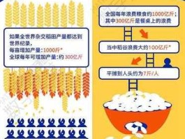 粮食年损量700亿斤？我国每年浪费粮食约多少一斤以上？