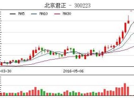 内蒙君正股票（北京君正和内蒙古君正是一家吗？）