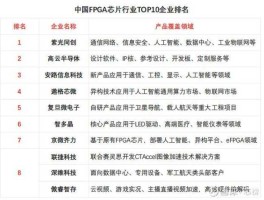 国产fpga，fpga上市公司排名？