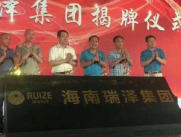 海南瑞泽，海南瑞泽主营业务？