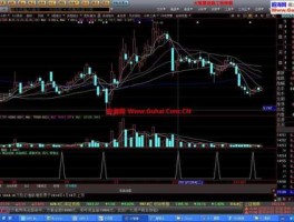国泰君安证券大智慧（国泰君安大智慧怎么看买卖点和短线精灵？）