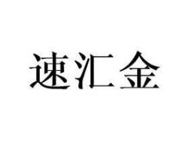 速汇金 什么是速汇金？