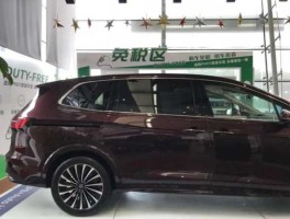 魏然 魏然大众参数？