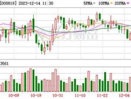 岳阳兴长股吧（岳阳兴长是国企吗？）