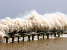 亚马孙大潮，钱塘江大潮是什么时间？