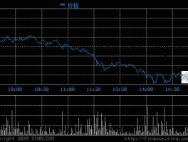 股票600113？浙江东日是什么公司？