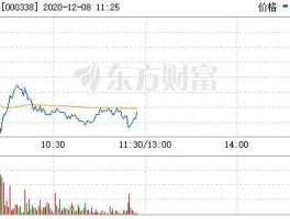 600213股票 潍柴的资料？