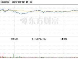 600222股票（河南太龙药业股份有限公司的介绍？）