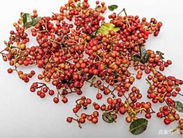 花椒，本草纲目中花椒的记载？