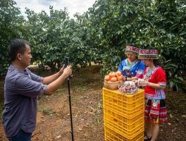 农民频道直播 农民频道帮大哥女主持人？