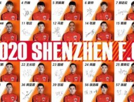 深圳国威，2020年深圳足球俱乐部大名单？