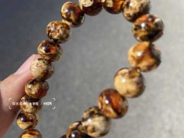 抚顺琥珀？抚顺琥珀储量有多少？