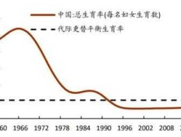 总和生育率？人口总和生育率是什么意思？